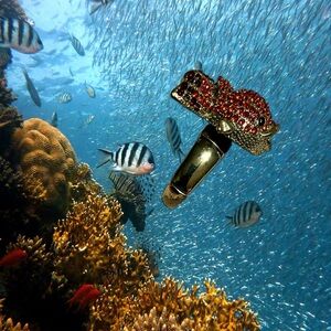 Funny little goldfish ring. Actually it’s quite LARGE